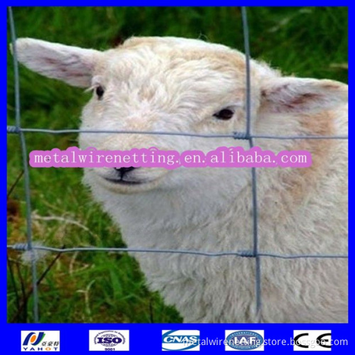 pig fence wire mesh